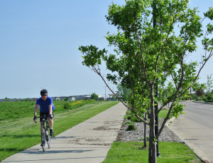 *cropped biker on state street